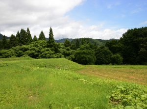 1.横倉の棚田