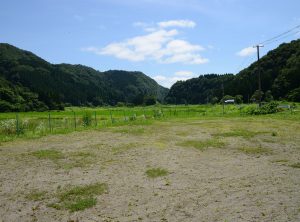 4.金沢体育館周辺