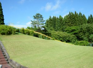 11.清水岱公園野球場周辺