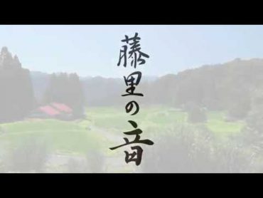 藤里の音/桂田 和仁